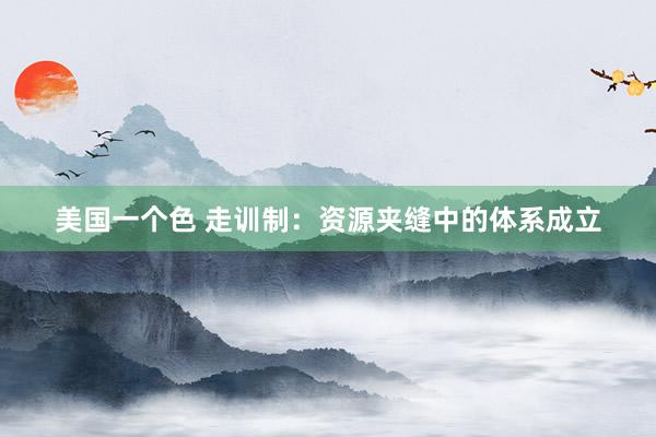 美国一个色 走训制：资源夹缝中的体系成立