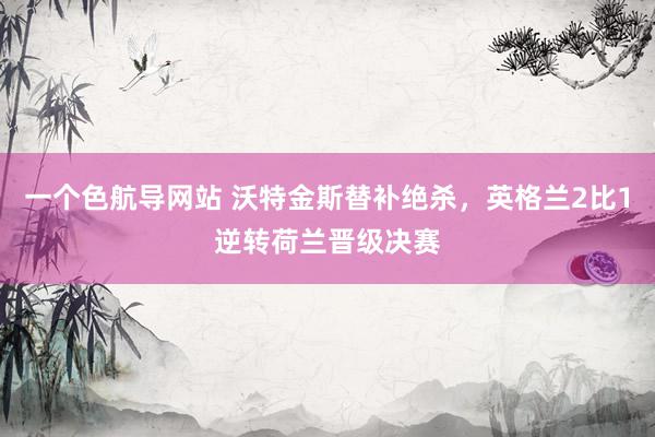 一个色航导网站 沃特金斯替补绝杀，英格兰2比1逆转荷兰晋级决赛