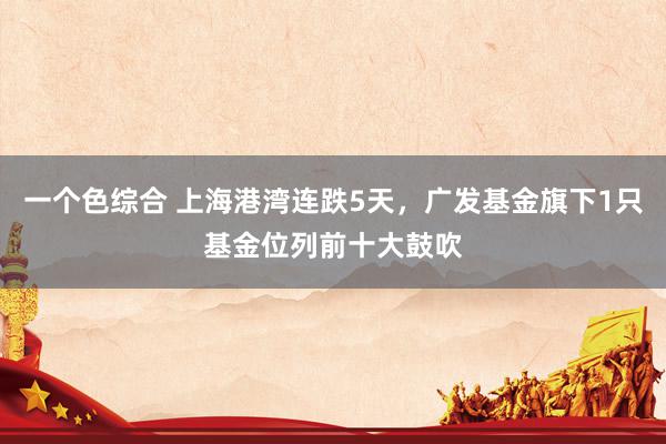 一个色综合 上海港湾连跌5天，广发基金旗下1只基金位列前十大鼓吹