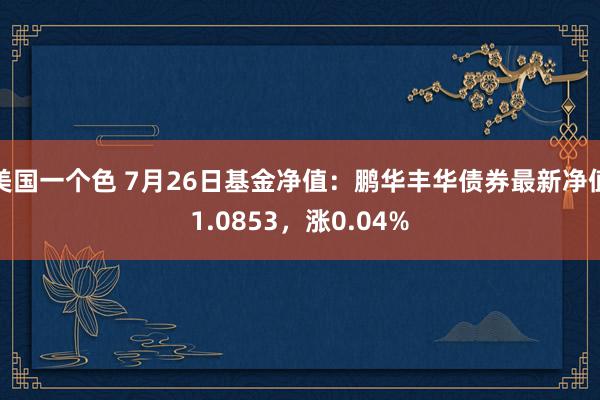 美国一个色 7月26日基金净值：鹏华丰华债券最新净值1.0853，涨0.04%
