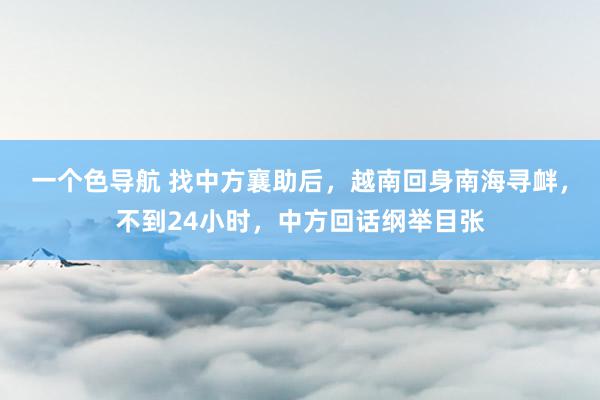 一个色导航 找中方襄助后，越南回身南海寻衅，不到24小时，中方回话纲举目张