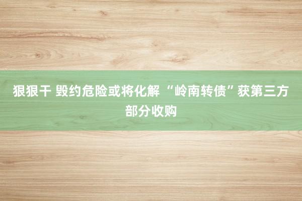 狠狠干 毁约危险或将化解 “岭南转债”获第三方部分收购