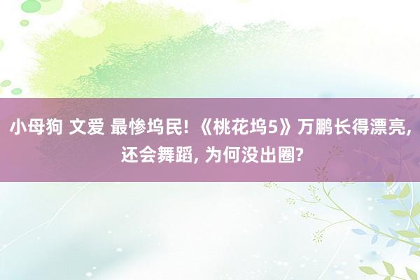 小母狗 文爱 最惨坞民! 《桃花坞5》万鹏长得漂亮, 还会舞