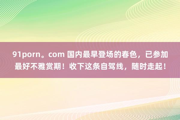 91porn。com 国内最早登场的春色，已参加最好不雅赏期